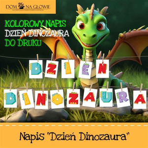 Domnaglowie.pl